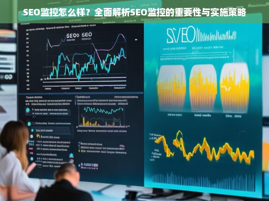 SEO监控的重要性与实施策略，全面解析如何有效进行SEO监控