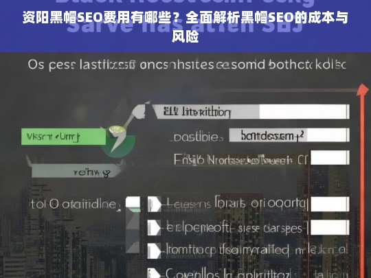 资阳黑帽SEO费用解析，成本与风险全面揭秘
