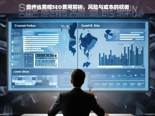 贵州省黑帽SEO费用解析，风险与成本的权衡