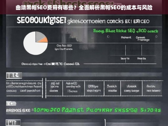 曲靖黑帽SEO费用及风险全面解析，成本与后果深度剖析