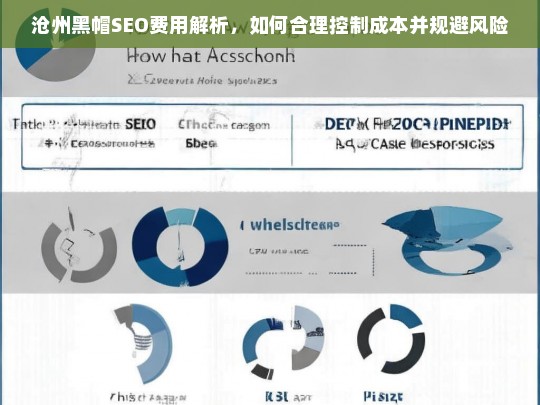 沧州黑帽SEO费用解析，合理控制成本与风险规避策略