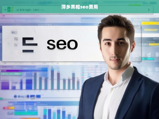 萍乡黑帽SEO服务费用详解与报价指南