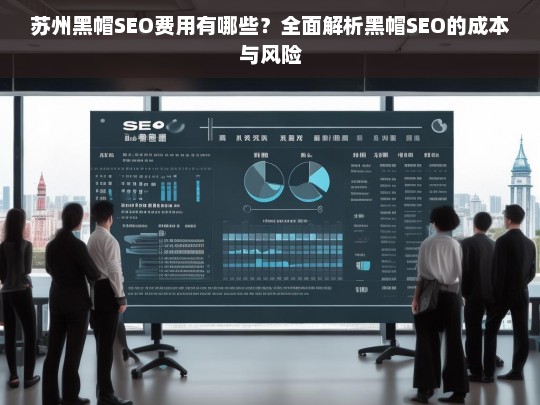 苏州黑帽SEO费用及风险解析，成本与后果全面分析