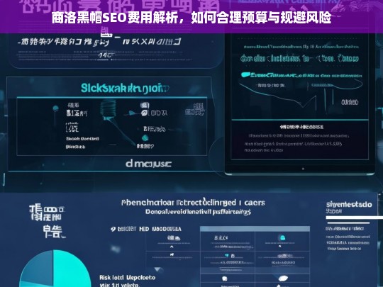 商洛黑帽SEO费用解析，合理预算与风险规避指南