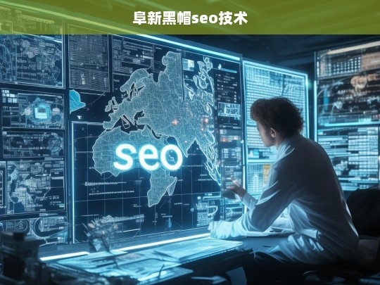 揭秘阜新黑帽SEO技术，风险与后果分析