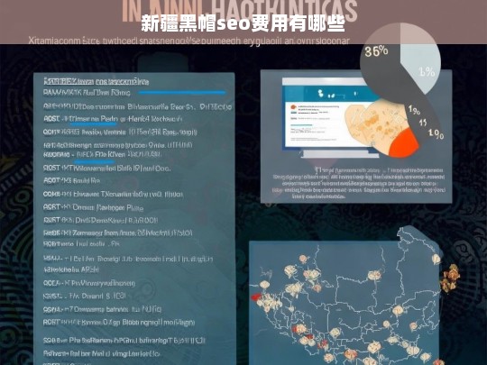 新疆黑帽SEO费用详解及影响因素分析