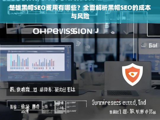 楚雄黑帽SEO费用与风险全面解析，成本、效果及潜在问题