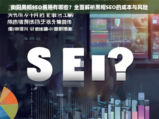 衡阳黑帽SEO费用解析，成本与风险全面揭秘