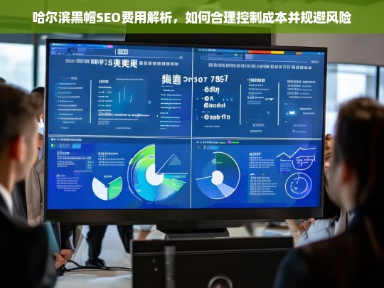 哈尔滨黑帽SEO费用解析，合理控制成本与风险规避指南