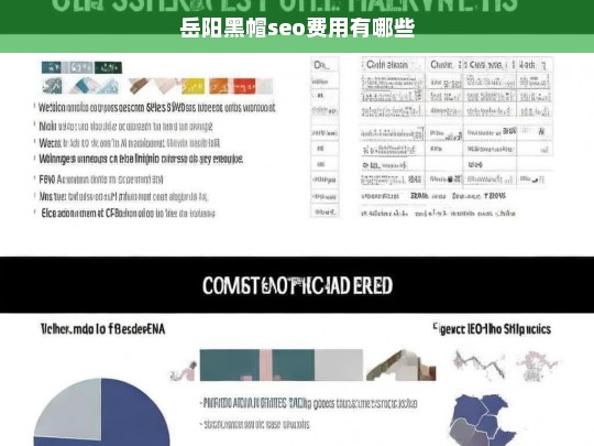 岳阳黑帽SEO费用详解，常见项目及价格分析