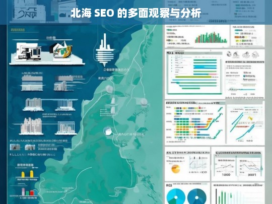 北海 SEO 的多面观察与分析，北海 SEO 多面解析