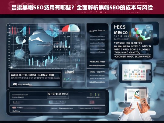 吕梁黑帽SEO费用全解析，成本与风险深度剖析