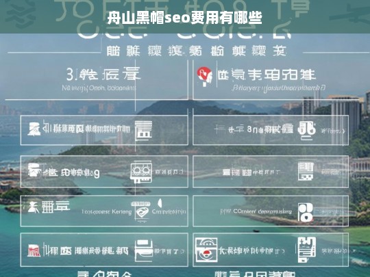 舟山黑帽SEO费用详解及影响因素