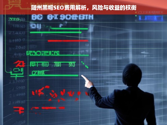 随州黑帽SEO费用解析，风险与收益的权衡