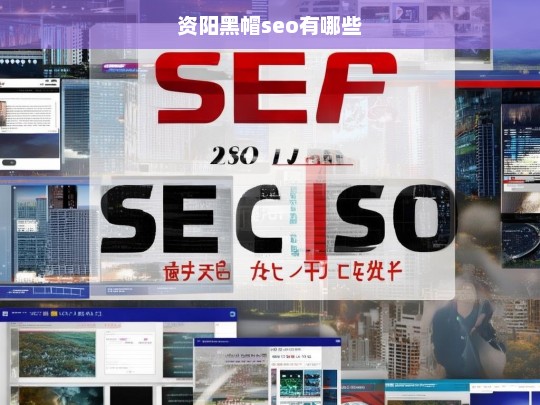 资阳黑帽SEO技术解析与风险防范