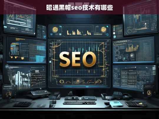 昭通黑帽SEO技术解析，常见手段与风险分析