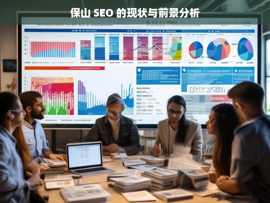 保山 SEO 的现状与前景分析，保山 SEO 现状及前景剖析