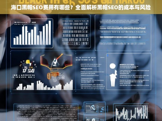 海口黑帽SEO费用及风险解析，全面了解成本与潜在问题