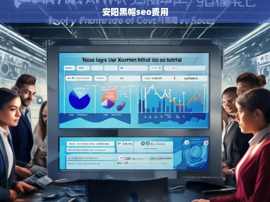 安阳黑帽SEO服务费用详解及影响因素分析