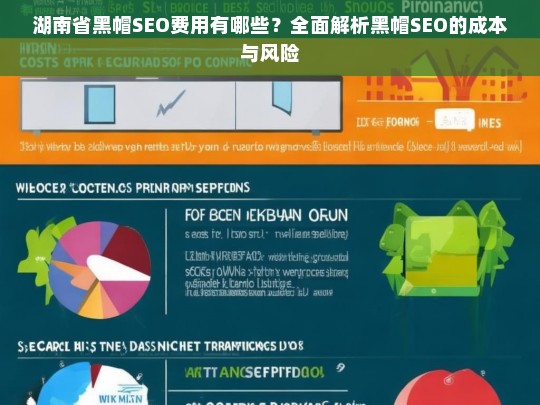 湖南省黑帽SEO费用及风险解析，全面了解成本与潜在问题