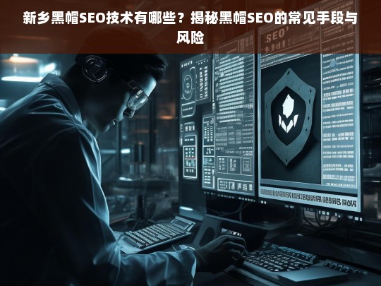 新乡黑帽SEO技术揭秘，常见手段与潜在风险解析