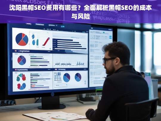 沈阳黑帽SEO费用及风险解析，成本与后果全面分析