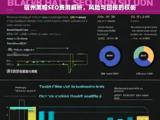 宿州黑帽SEO费用解析，风险与回报的权衡