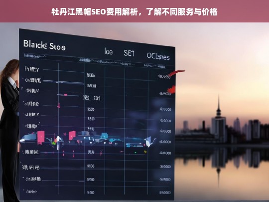 牡丹江黑帽SEO服务费用详解，不同服务类型与价格对比