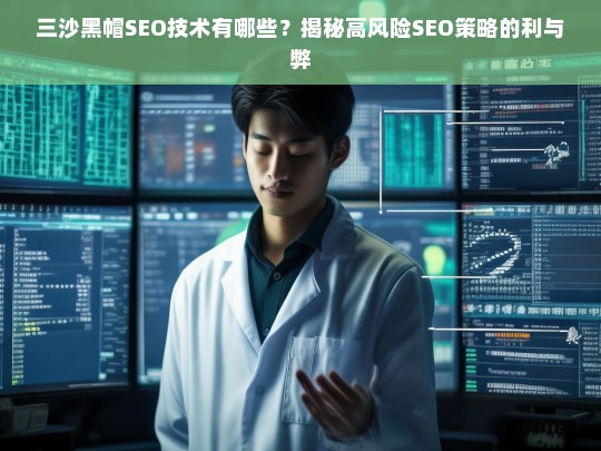 三沙黑帽SEO技术揭秘，高风险策略的利与弊分析