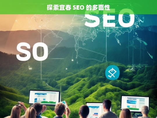 探索宜春 SEO 的多面性，宜春 SEO 的多面性探索