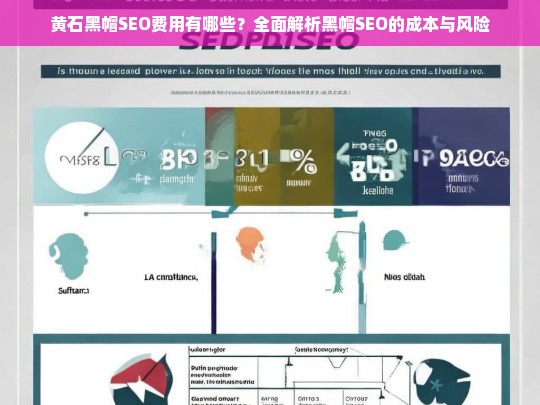 黄石黑帽SEO费用解析，成本与风险全面揭秘