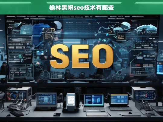 榆林黑帽SEO技术解析，常见手段与风险分析