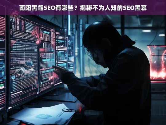 南阳黑帽SEO揭秘，不为人知的SEO黑幕与操作手法