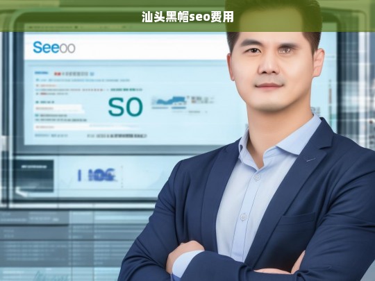 汕头黑帽SEO服务费用详解及市场行情分析