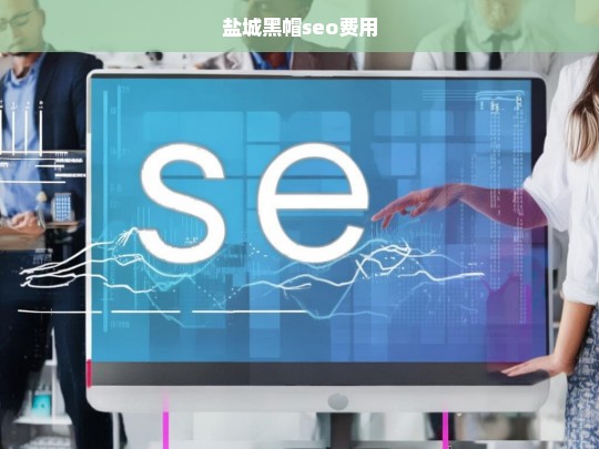 盐城黑帽SEO服务费用详解及影响因素分析