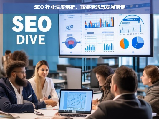 SEO 行业深度剖析，薪资待遇与发展前景，SEO 行业的深度剖析，薪资待遇与发展前景探究