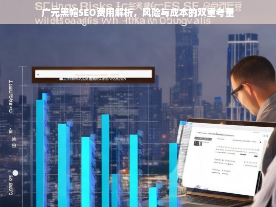 广元黑帽SEO费用解析，风险与成本的双重考量