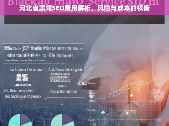 河北省黑帽SEO费用与风险分析，成本与潜在后果的权衡