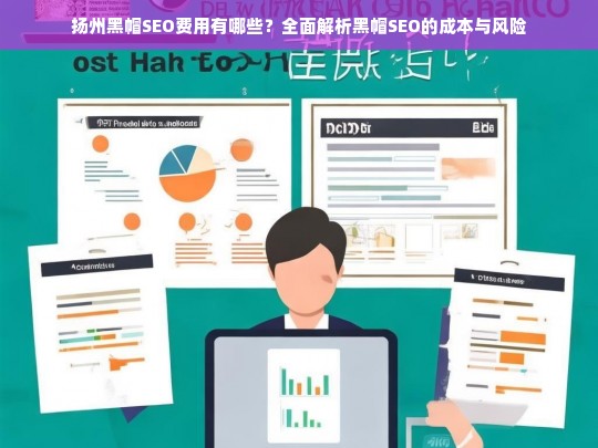 扬州黑帽SEO费用及风险解析，成本与后果全面揭秘