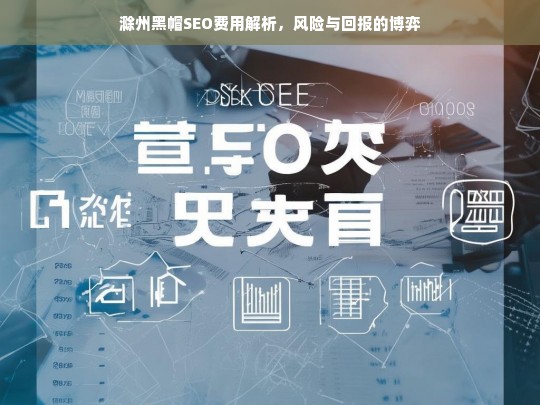 滁州黑帽SEO费用解析，风险与回报的博弈