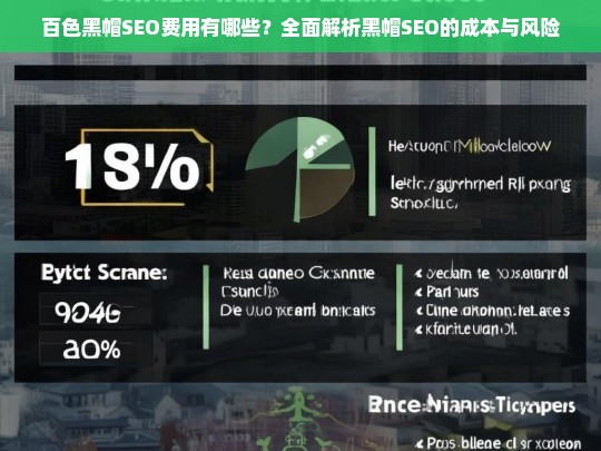 百色黑帽SEO费用解析，成本与风险全面揭秘