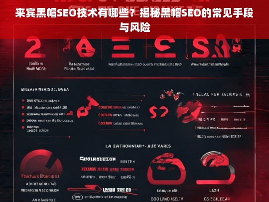 揭秘来宾黑帽SEO技术，常见手段与风险解析