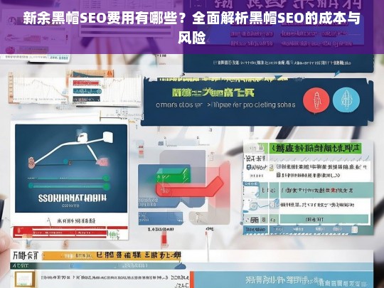 新余黑帽SEO费用全解析，成本与风险深度剖析