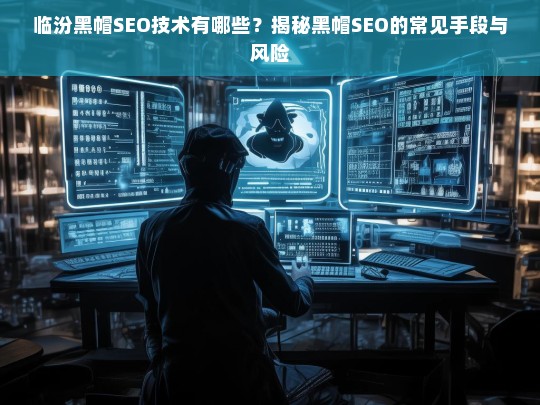 揭秘临汾黑帽SEO技术，常见手段与潜在风险