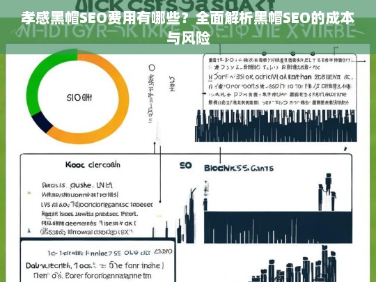 孝感黑帽SEO费用全解析，成本与风险深度剖析