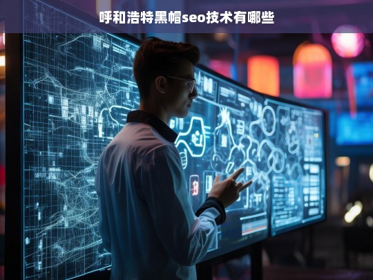 呼和浩特黑帽SEO技术解析与应用指南