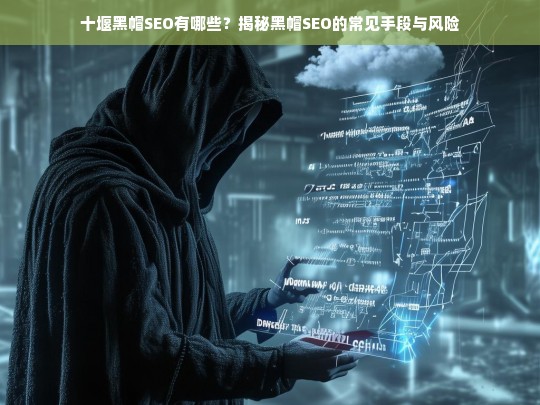 揭秘十堰黑帽SEO的常见手段与潜在风险