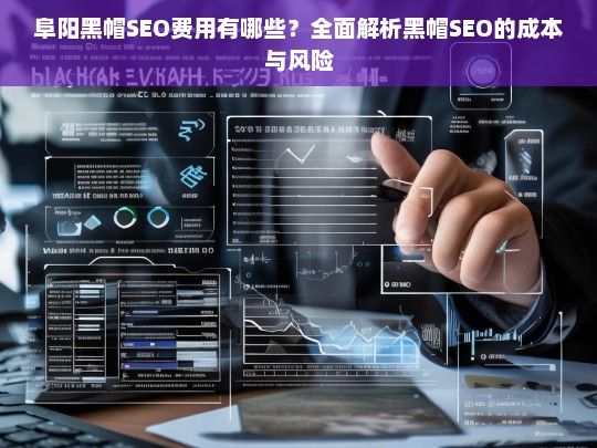 阜阳黑帽SEO费用全解析，成本与风险深度剖析