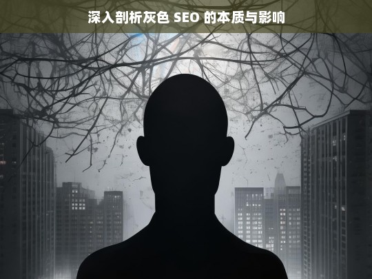 深入剖析灰色 SEO 的本质与影响，灰色 SEO 的本质与影响剖析