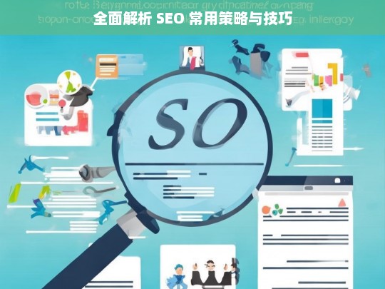 全面解析 SEO 常用策略与技巧，SEO 常用策略与技巧全面解析